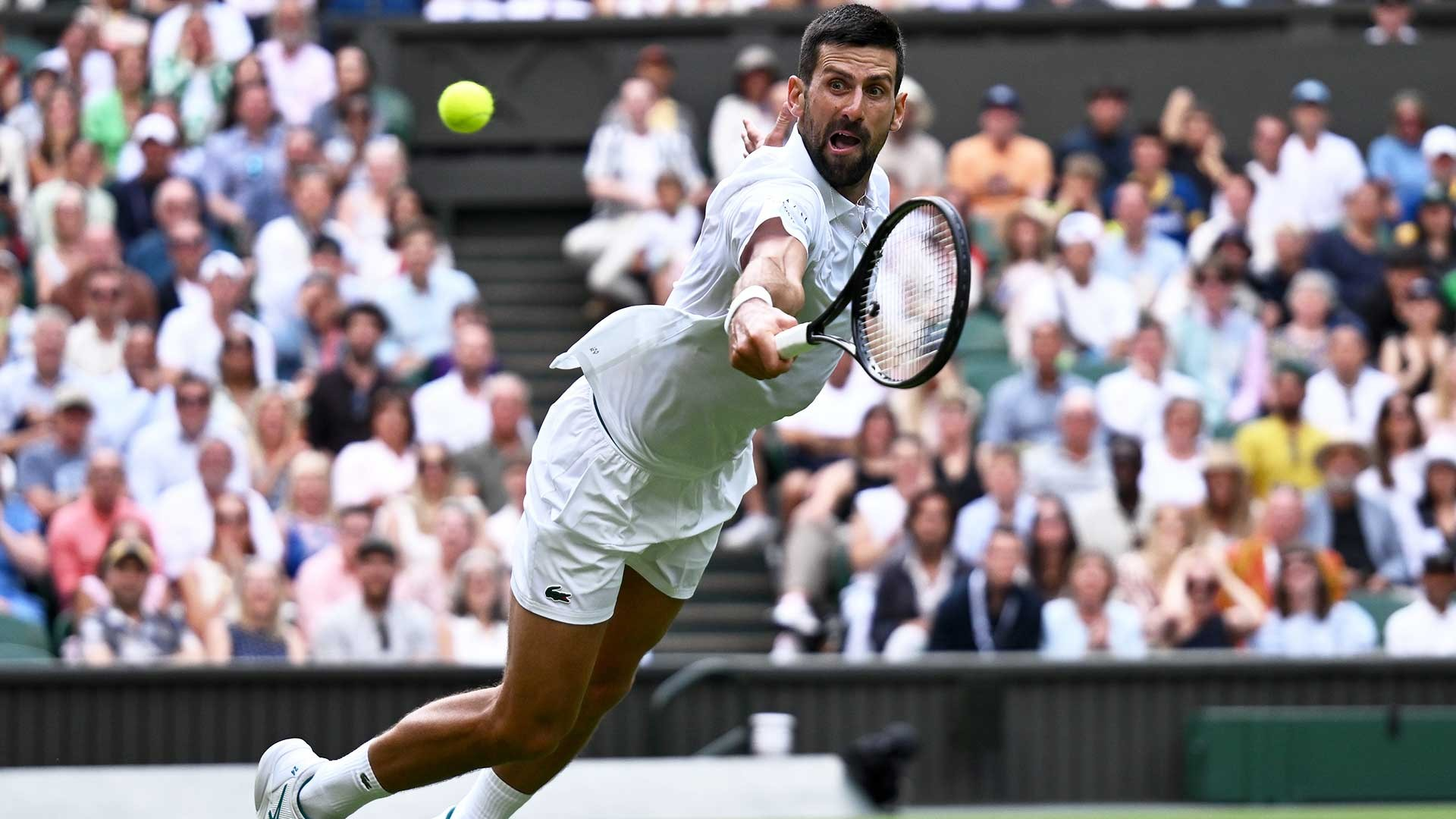 拉沃尔杯逆转温网,德约科维奇状态火热 拉沃尔杯逆转温网,德约科维奇状态火热